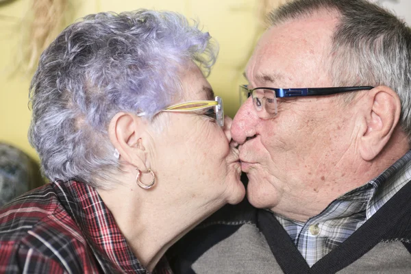 Porträt eines glücklichen Seniorenpaares zu Hause — Stockfoto