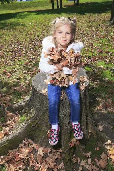 Malé dítě v podzimním lese s žlutým javor listy — Stock fotografie