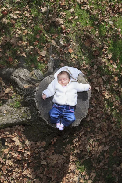 A Newborn baby laying in the autumn park — Stock Photo, Image