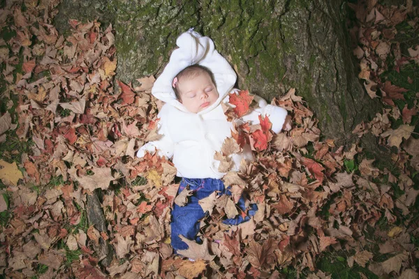 A Newborn baby laying on the leaf of a autumn park — Stock Photo, Image