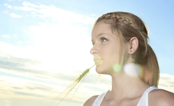 Elegante bella ragazza sul campo — Foto Stock