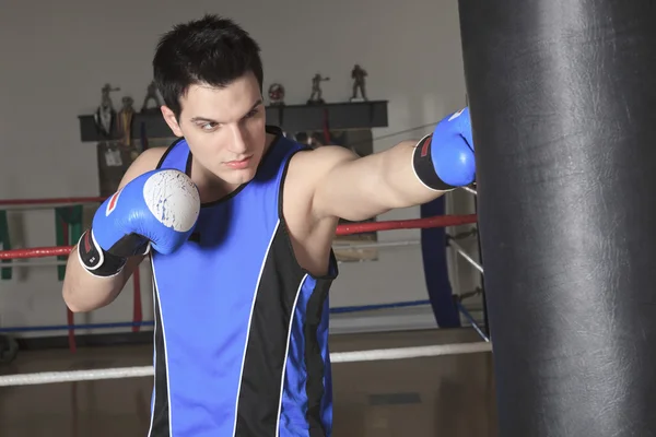 Ein junger Boxer, der für seinen Kampf trainiert — Stockfoto