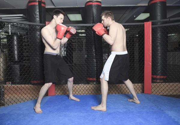 Luchador de UFC — Foto de Stock