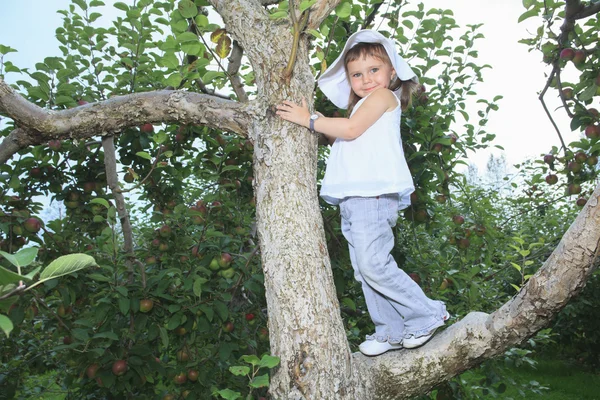 Een schattig klein meisje van de peuter op een appelboom — Stockfoto