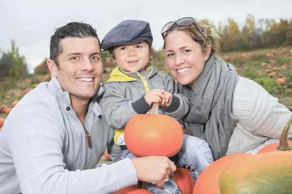 Een familie op een veld met pompoenen achtergrond — Stockfoto