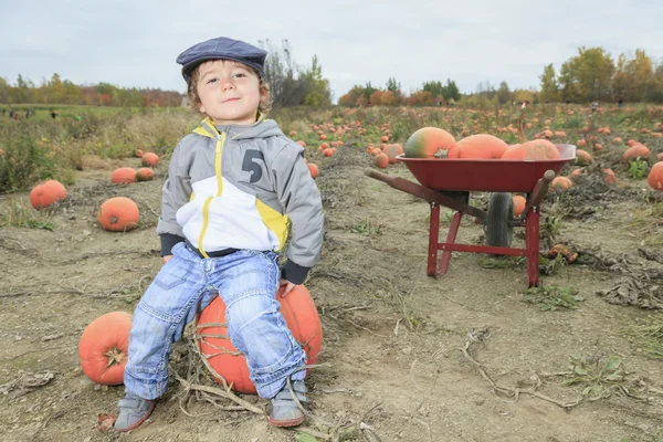 Een Smiling peuter jongen met pompoen op koude herfst dag — Stockfoto