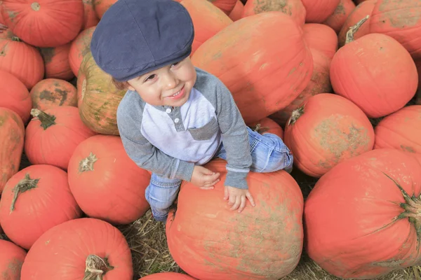 寒い秋の日にカボチャを持つ笑顔幼児少年 — ストック写真