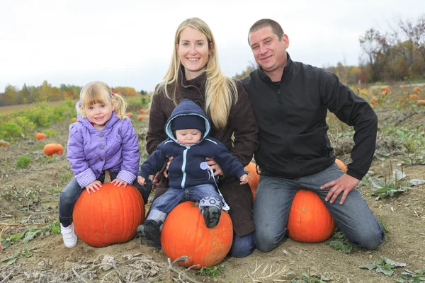 Een familie op een veld met pompoenen achtergrond — Stockfoto