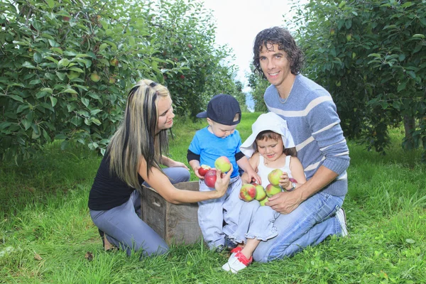 Een gelukkige familie van vier aantrekkelijke Kaukasische vangen apple — Stockfoto