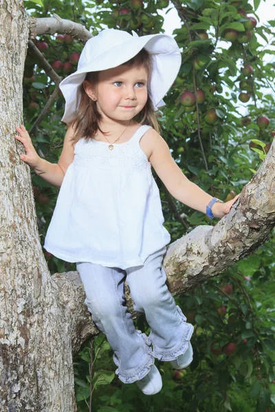 Una graziosa bambina in età prescolare su un albero di mele — Foto Stock