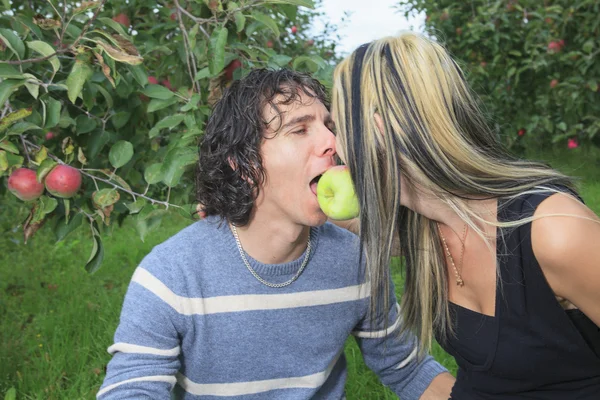 Jeune couple dans le verger après l'été, ils regardent dans la caméra — Photo