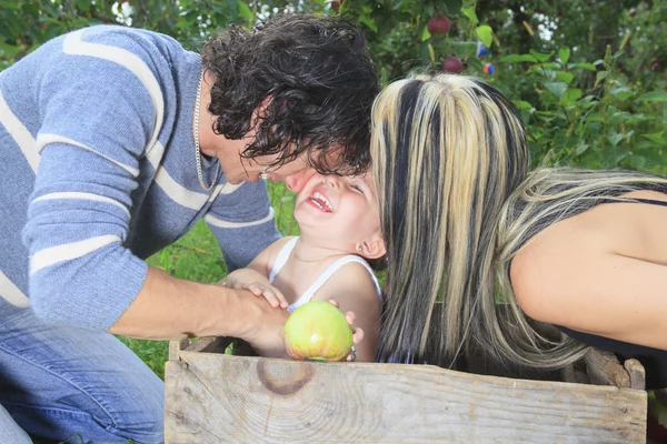 Bir anne ve baba kızıyla birlikte elma ağacı üzerinde oynama — Stok fotoğraf