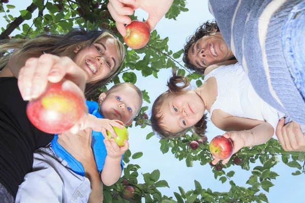 A happy family of four attractive caucasian catch apple — Stock Photo, Image