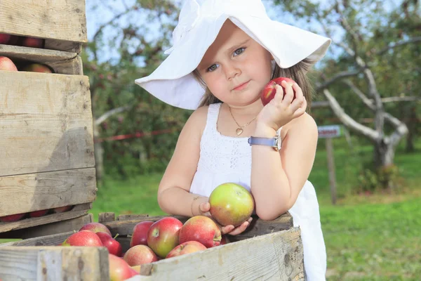 Schattig klein meisje van de peuter eten een appel op mooie herfst — Stockfoto