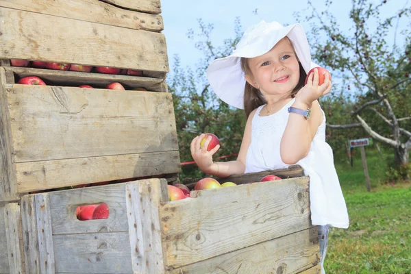 Aranyos óvodás kislány enni egy almát, szép őszi napon — Stock Fotó