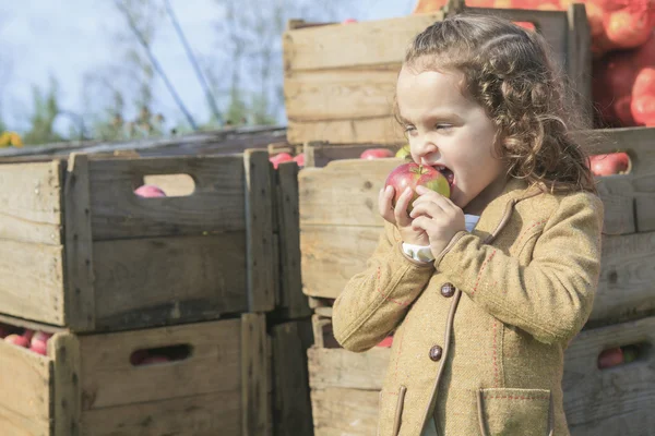 Cute little preschooler girl eating an apple on beautiful autumn — Stock Photo, Image