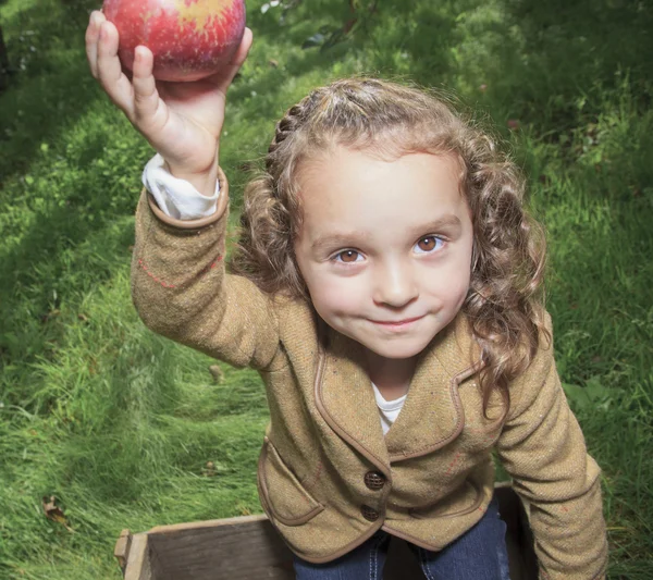 Aranyos óvodás kislány enni egy almát a szép őszi — Stock Fotó