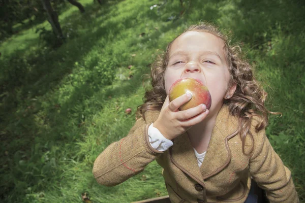 Cute little preschooler girl eating an apple on beautiful autumn — Stock Photo, Image