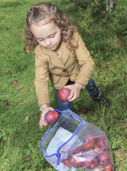 Schattig klein meisje van de peuter eten een appel op mooie herfst — Stockfoto