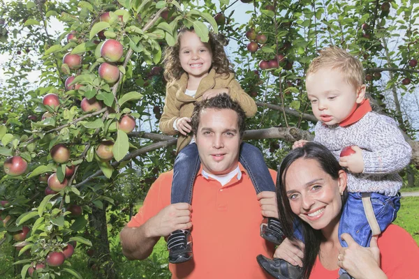 A happy family of four attractive caucasian catch apple on a fie — Stock Photo, Image