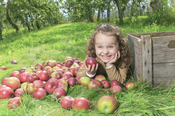 Schattig klein meisje van de peuter eten een appel op mooie herfst — Stockfoto