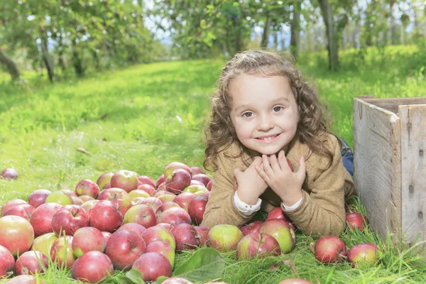 Schattig klein meisje van de peuter eten een appel op mooie herfst — Stockfoto