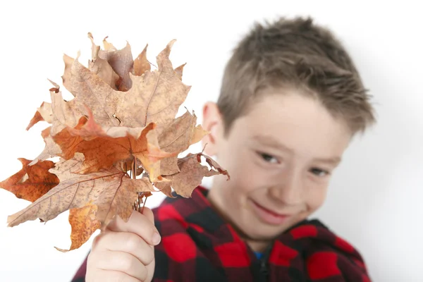 Un bambino autunnale in foglie su sfondo bianco . — Foto Stock