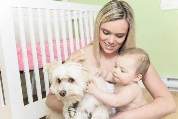 A Baby and Dog playing in the bedroom — Stock Photo, Image