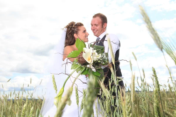 A menyasszony és a vőlegény közelében mező széna — Stock Fotó