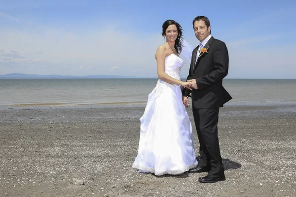 Um casamento de noiva e noivo em um dia perfeito de verão — Fotografia de Stock