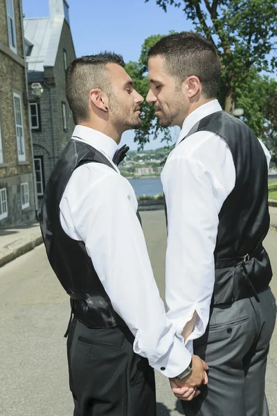 Ritratto di un amorevole coppia gay maschio il giorno del loro matrimonio . — Foto Stock