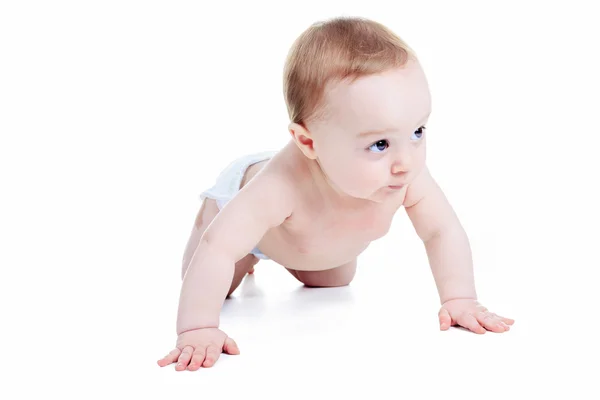 A sweet little boy in studio white background — Stock Photo, Image