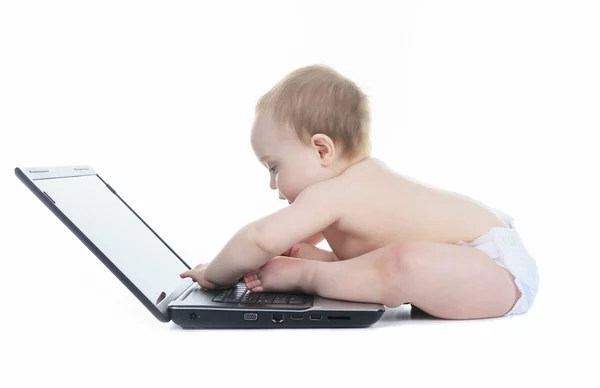 A Baby using laptop over white background — Stock Photo, Image