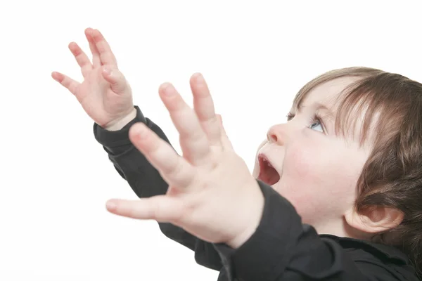 Een jongetje in studio witte achtergrond — Stockfoto