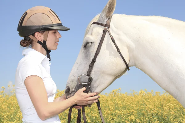 Un caballo blanco en el campo de flores amarillo con un jinete . — Foto de Stock