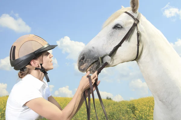 Un caballo blanco en el campo de flores amarillo con un jinete . — Foto de Stock