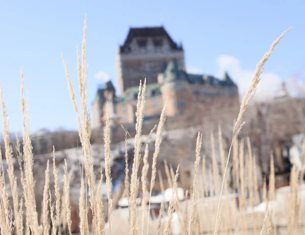 Chateau Frontenac en invierno, Quebec City, Quebec, Canadá —  Fotos de Stock