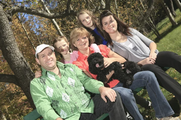 Family throw autumnal leaves — Stock Photo, Image