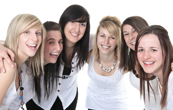 Six young woman in studio white background Stock Picture