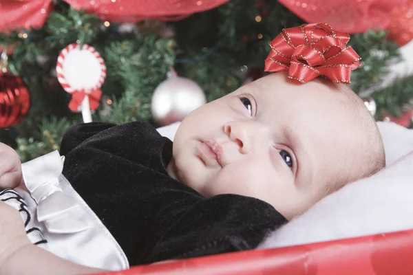 A christmas toddler in a gift in front of a fir — Stock Photo, Image