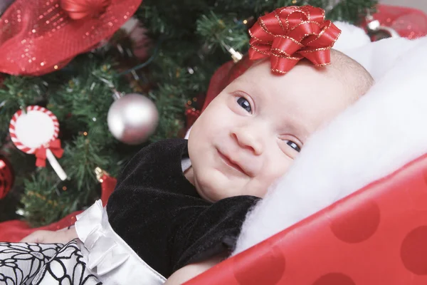 A christmas toddler in a gift in front of a fir — Stock Photo, Image