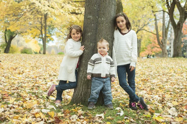 Tre bambini in foglie d'autunno . — Foto Stock