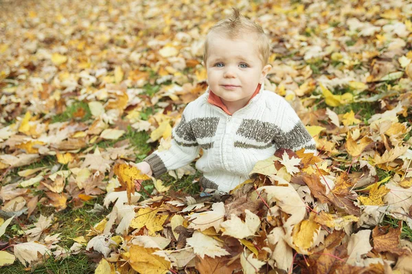 Kid playing with leaves — Stock Photo, Image