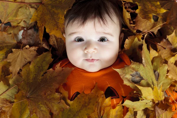 Sweet laughing baby girl playing with a huge pumpkin wearing a knitted pumpkin hat on white background — Stock Photo, Image