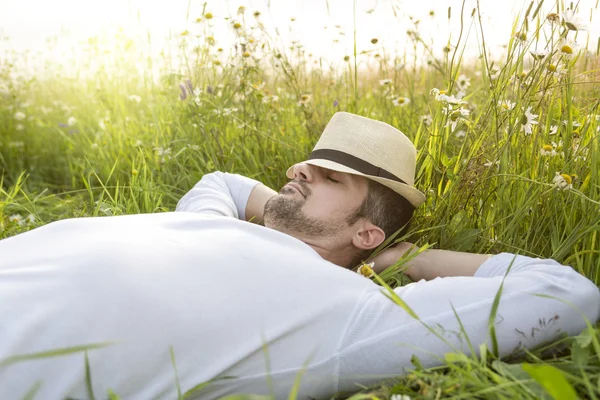 Happy young man in a field — Stock Photo, Image