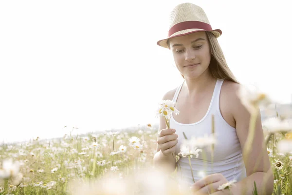 Beautiful woman enjoying daisy in a field — Stock Photo, Image