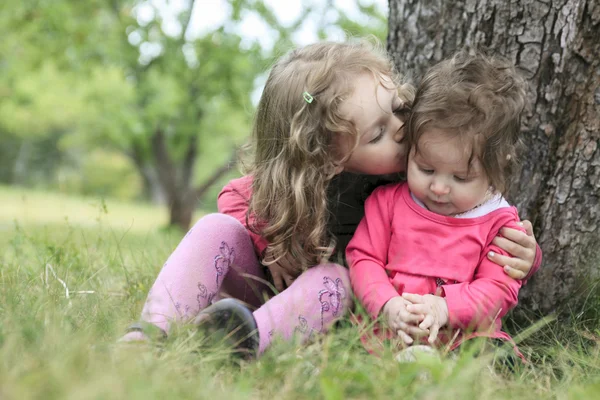 Two little sister near the big tree in the forest — Stock Photo, Image