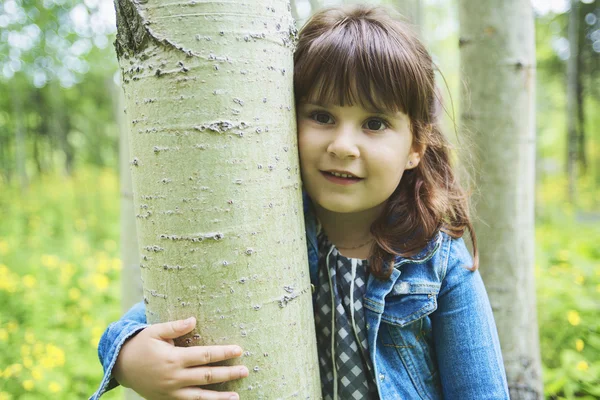 Schattig klein meisje in de weide bos — Stockfoto