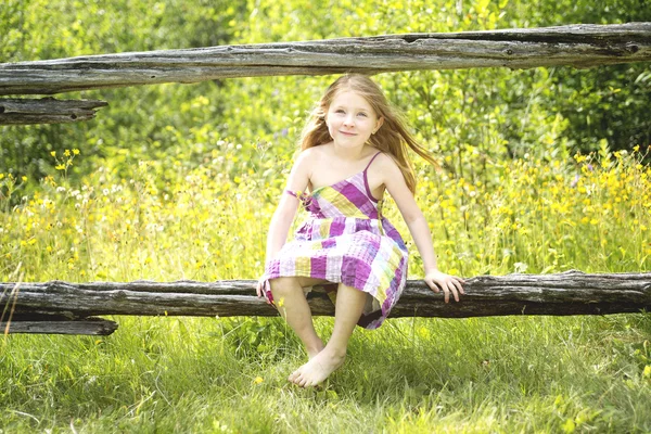 Az erdő-rét-imádnivaló kicsi lány — Stock Fotó
