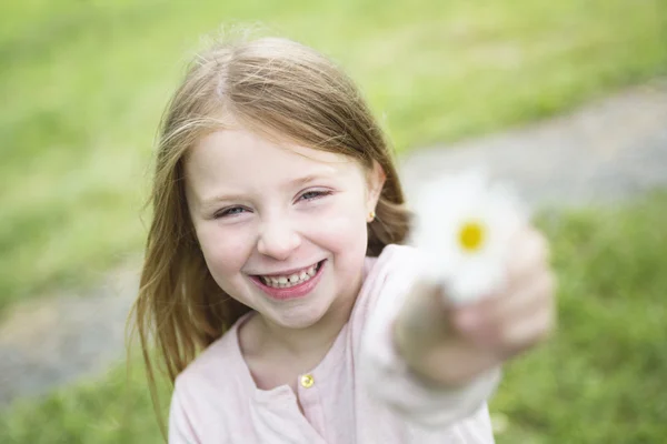 Adorable little girl in the forest meadow — Stock Photo, Image